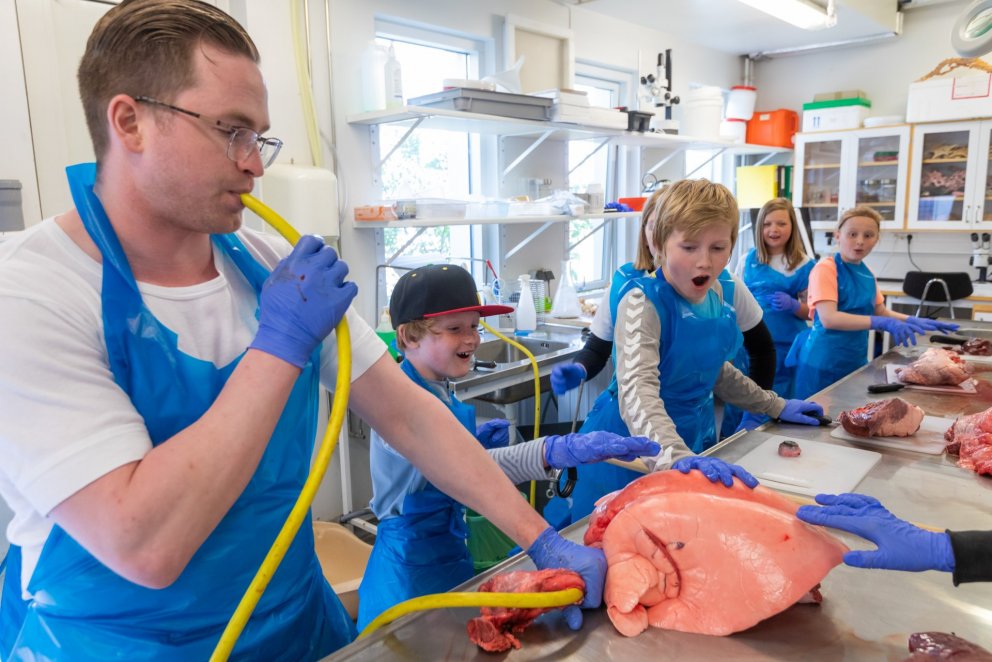 Vísindaskólinn í 6 ár