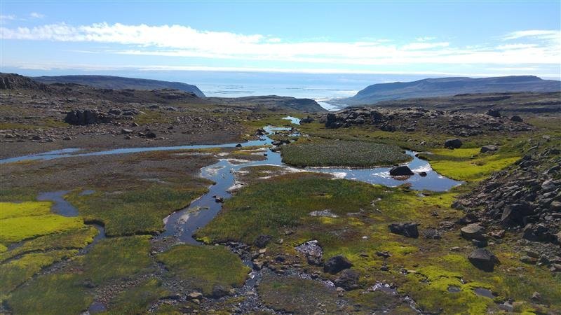 Úr friðlandinu í Vatnsfirði. Mynd frá Náttúruverndarstofnun.