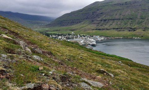 Frá Seyðisfirði.