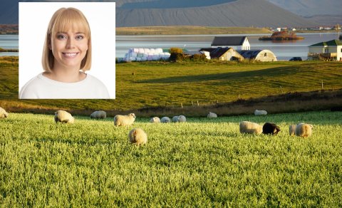 Styrkur úr Byggðarannsóknasjóði til að rannsaka líðan bænda