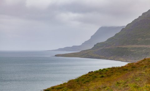 Mynd/Wikimedia Commons