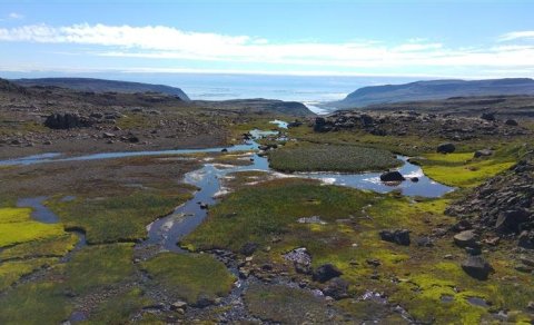 Úr friðlandinu í Vatnsfirði. Mynd frá Náttúruverndarstofnun.
